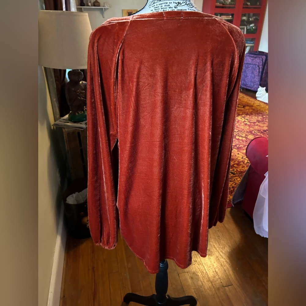 Dylan Rust Velvet Tunic - Picture 2 of 7